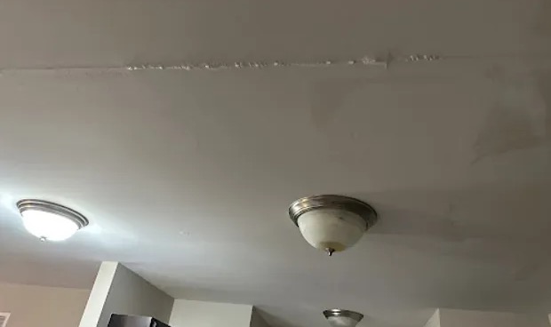 Ceiling Mold Removal in Corona del Mar, CA