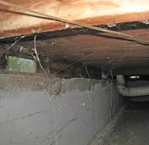 Crawlspace Mold Remediation in Corona del Mar, CA