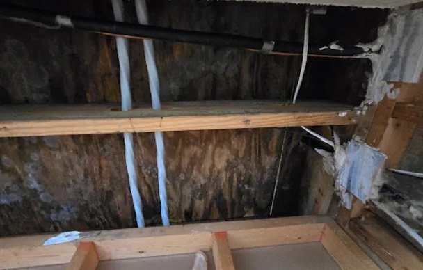 Attic Mold Removal in Irvine, CA