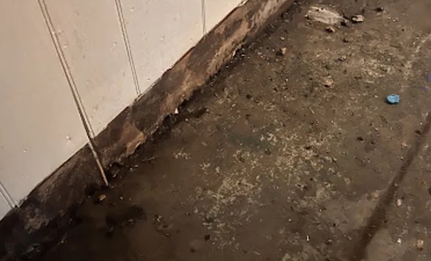 Biohazard Cleanup Services in Corona del Mar, CA